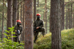 szklanka24_467
