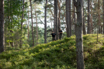hal2025_0578